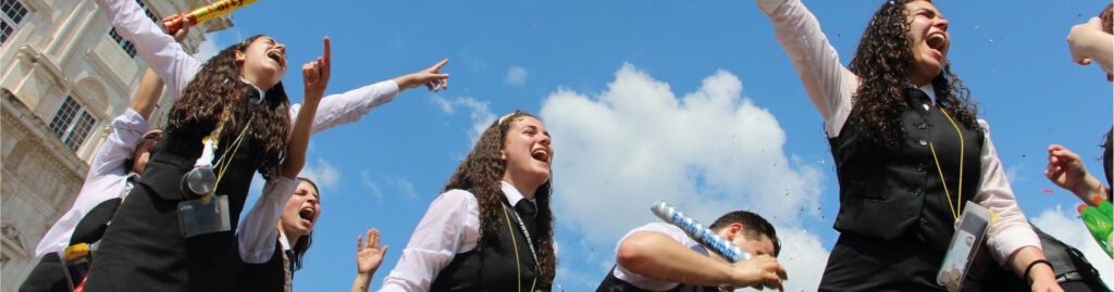 European Network of Nursing Academies