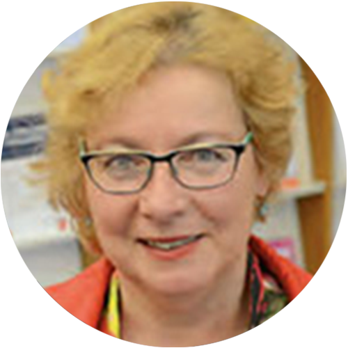 European Network of Nursing Academies