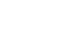 European Network of Nursing Academies