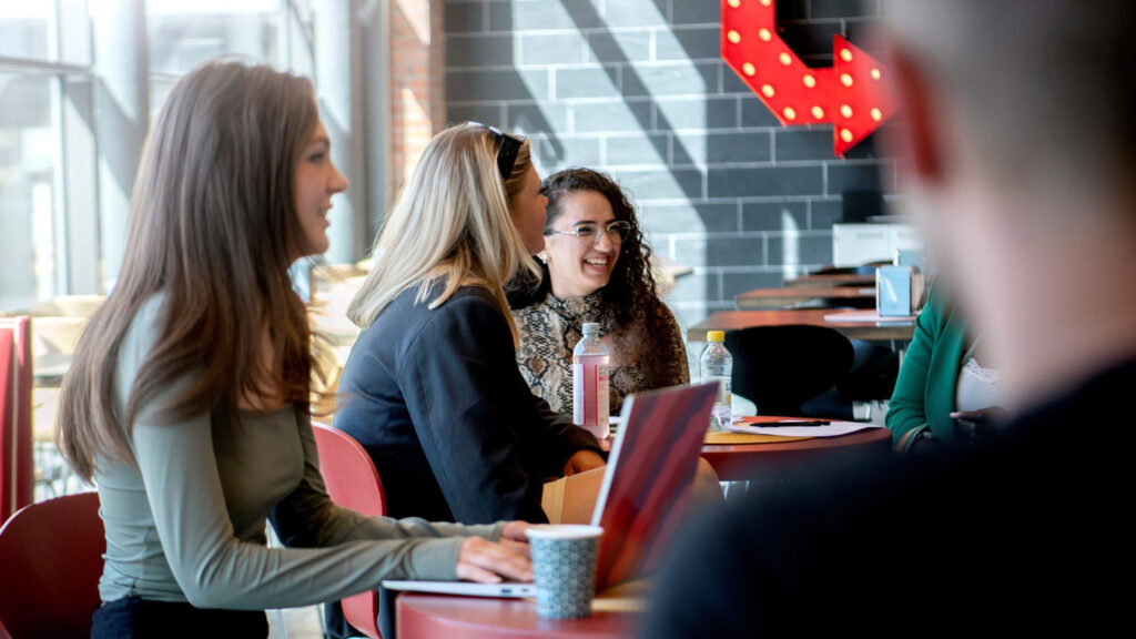 European Network of Nursing Academies