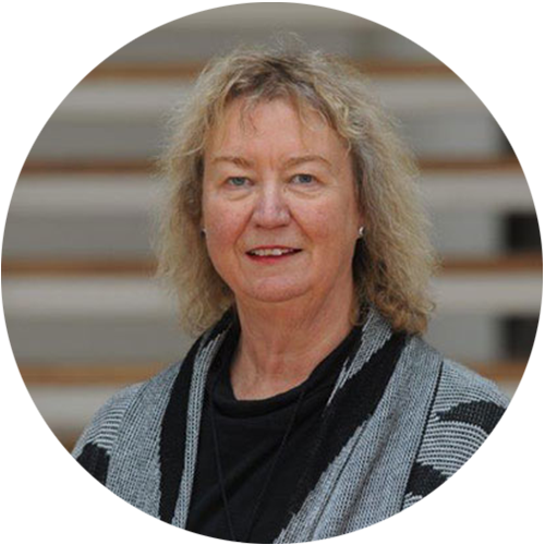 European Network of Nursing Academies