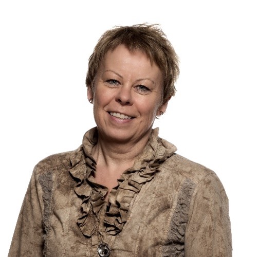 European Network of Nursing Academies